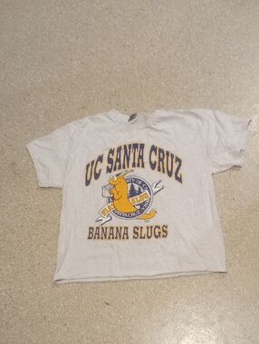 #737 Santa Cruz Banana Slugs Graphic Tee - Light Gray